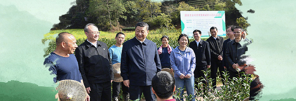 習(xí)近平與茶