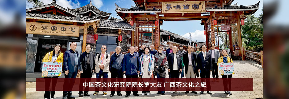 中國(guó)茶文化研究院院長(zhǎng)羅大友 廣西茶文化之旅